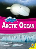 Arctic Ocean (eBook, PDF)