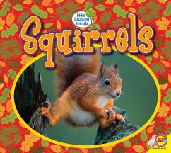 Cover Squirrels (eBook, PDF)