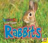 Rabbits (eBook, PDF) - Bild 1