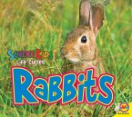Rabbits (eBook, PDF)