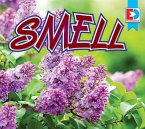 Smell (eBook, PDF)