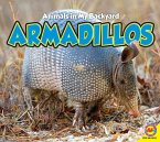 Armadillos (eBook, PDF)