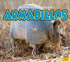 Cover Armadillos (eBook, PDF)
