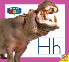 Cover Hh (eBook, PDF)