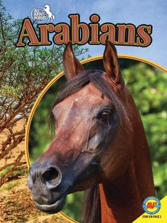 Cover Arabians (eBook, PDF)