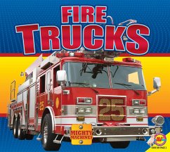 Cover Fire Trucks (eBook, PDF)