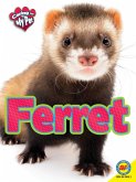 Ferret (eBook, PDF)