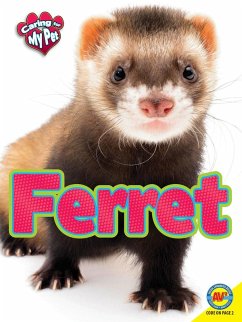 Cover Ferret (eBook, PDF)
