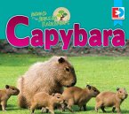 Animals of the Amazon Rainforest: Capybara (eBook, ePUB)