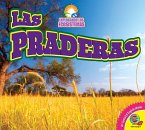 Las praderas (eBook, PDF)