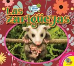 Las zarigüeyas (eBook, PDF)