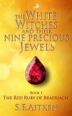 The White Witches and Their Nine Precious Jewels (eBook, ePUB)
