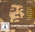 The Jimi Hendrix Tribute Concert-Live At Rockpal