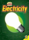 Electricity (eBook, PDF)