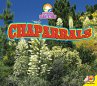 Chaparrals (eBook, PDF) - Bild 1