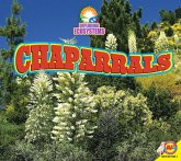 Chaparrals (eBook, PDF)