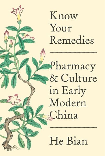 Know Your Remedies (eBook, ePUB) Know Your Remedies (eBook, ePUB)