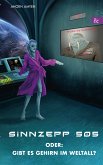 Sinnzepp 505 (eBook, ePUB)