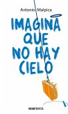 Imagina que no hay cielo (eBook, ePUB)