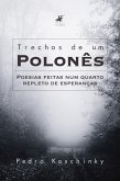 Trechos de um Polonês (eBook, ePUB)