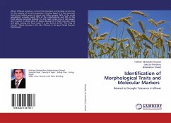 Identification of Morphological Traits and Molecular Markers