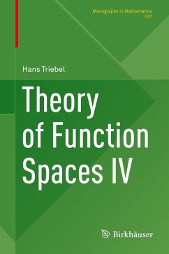 Theory of Function Spaces IV - Triebel, Hans