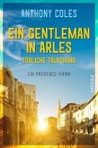 Ein Gentleman in Arles - Tödliche Täuschung / Peter Smith Bd.3