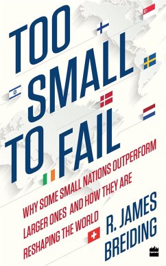 Cover Too Small to Fail (eBook, ePUB)