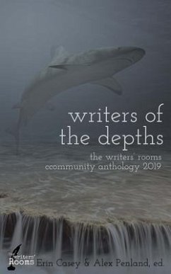 Cover Writers of the Depths (eBook, ePUB)