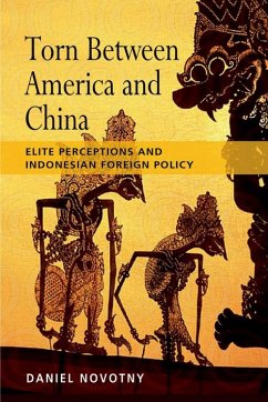 Torn between America and China (eBook, PDF) - Novotny, Daniel