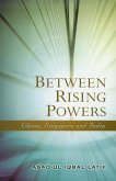 Between Rising Powers (eBook, PDF)