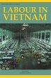 Labour in Vietnam (eBook, PDF) - Bild 1