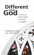 Different Under God (eBook, PDF) - Bild 1