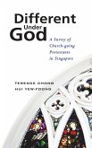 Different Under God (eBook, PDF)