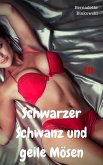 Schwarzer Schwanz und geile Mösen (eBook, ePUB)