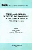 Small and Medium Business Improvement in the ASEAN Region (eBook, PDF)