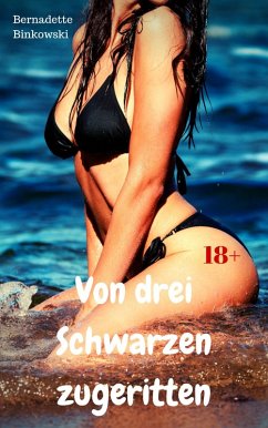 Cover Von drei Schwarzen zugeritten (eBook, ePUB)