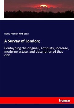 A Survay of London;