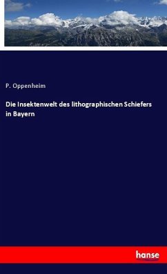 Die Insektenwelt des lithographischen Schiefers in Bayern - Oppenheim, P.