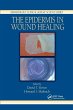 The Epidermis in Wound Healing - Bild 1