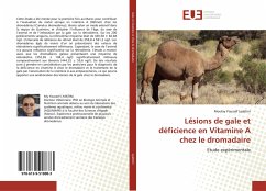 Lésions de gale et déficience en Vitamine A chez le dromadaire - Lyaktini, Moulay Youssef