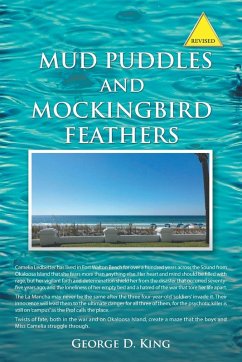 Mud Puddles and Mockingbird Feathers and The Sky is Crying - King, George D.