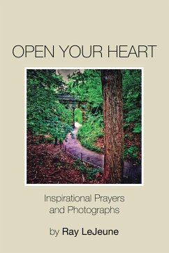 Open Your Heart - LeJeune, Ray