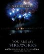 You Are My Fireworks - Bild 1