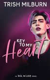 Key to My Heart: An Idol in Love K-Pop Romance (An Idol in Love Novel, #4) (eBook, ePUB)