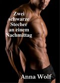 Zwei schwarze Stecher an einem Nachmittag (eBook, ePUB)