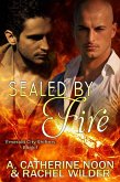 Sealed by Fire (The Emerald City Shifters, #1) (eBook, ePUB) Sealed by Fire (The Emerald City Shifters, #1) (eBook, ePUB)