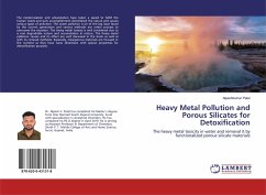 Heavy Metal Pollution and Porous Silicates for Detoxification - Patel, Alpeshkumar