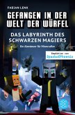 Das Labyrinth des schwarzen Magiers / Gefangen in der Welt der Würfel Bd.5