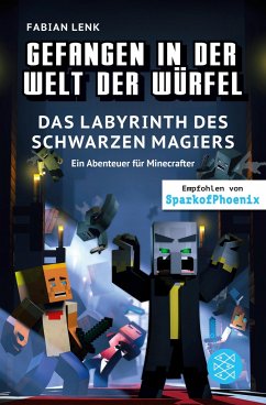 Das Labyrinth des schwarzen Magiers / Gefangen in der Welt der Würfel Bd.5 - Lenk, Fabian